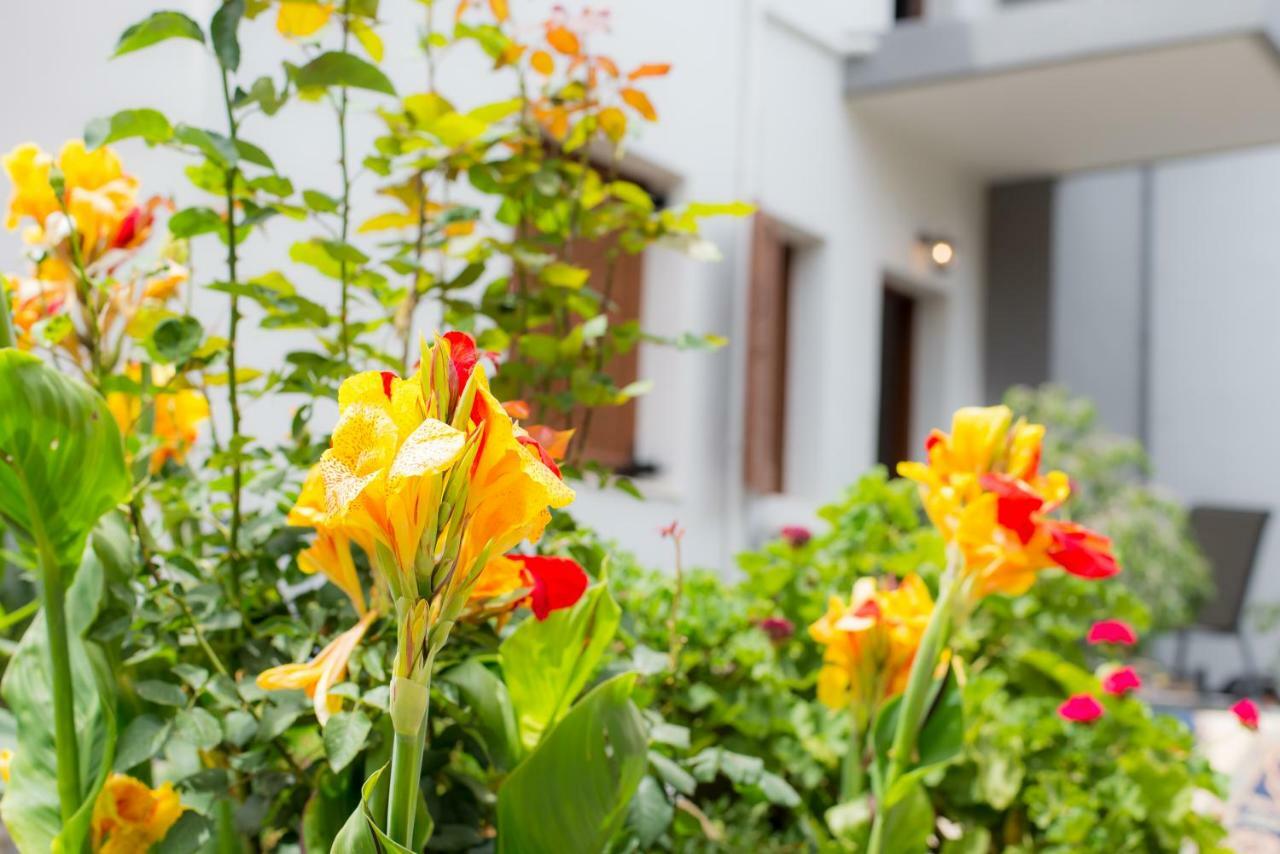 Stellar Apartments I Platanias Exterior foto